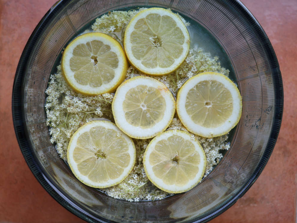 Holunderblütensirup