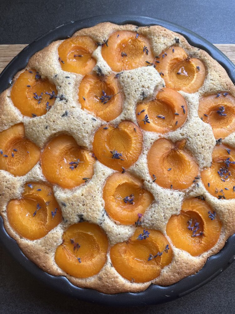 Der Aprikosenkuchen ist gebacken